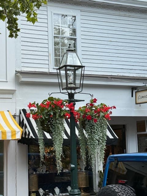 undefined Gallery Image 3