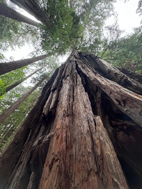 undefined Gallery Image 4