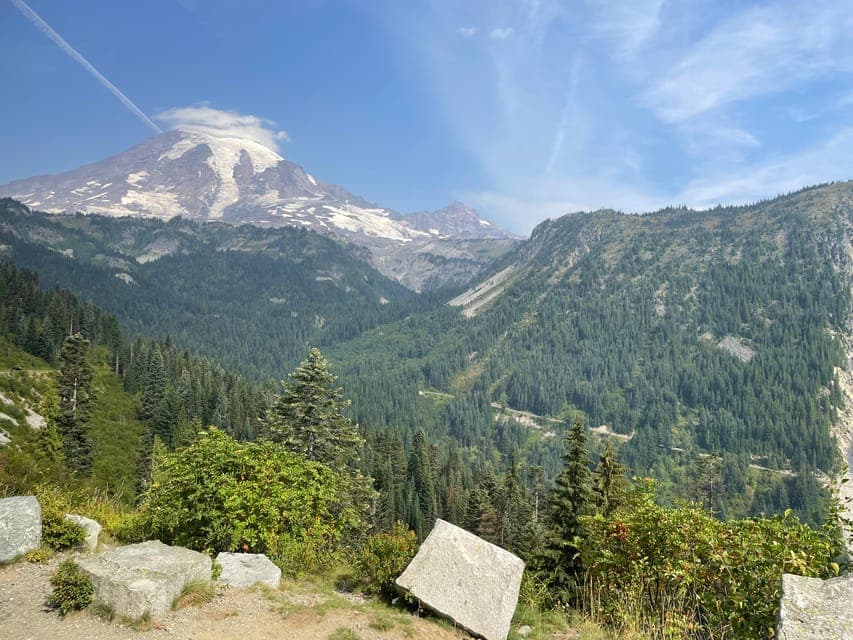 undefined Gallery Image 2