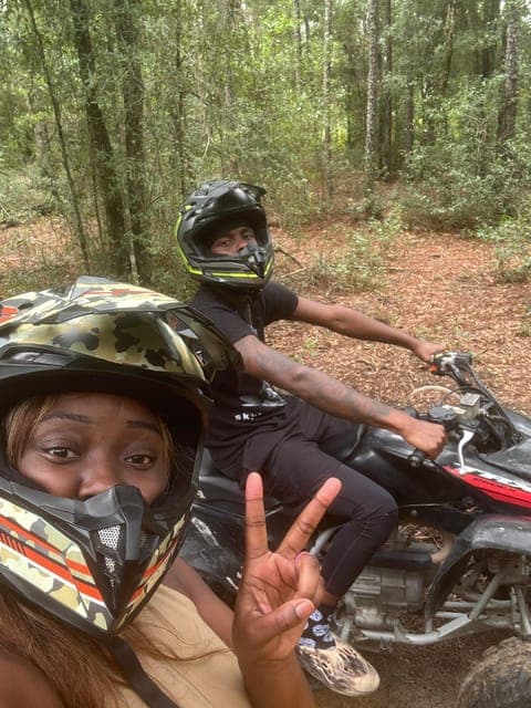 undefined Gallery Image 3