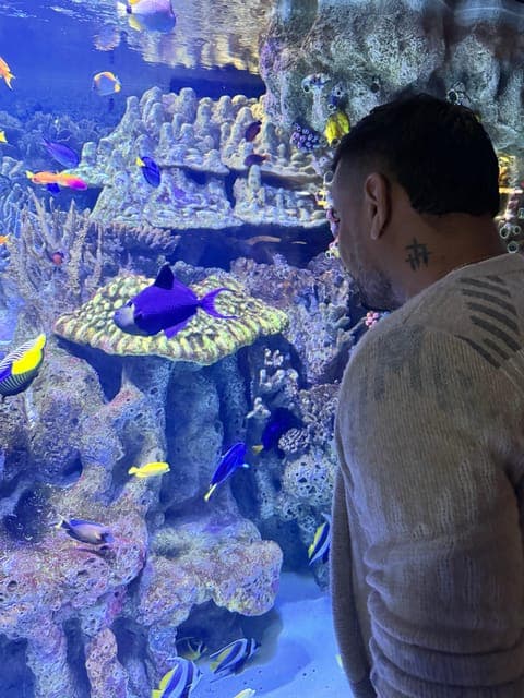 undefined Gallery Image 3