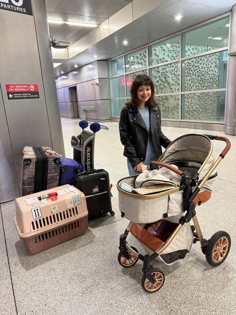 undefined Gallery Image 3