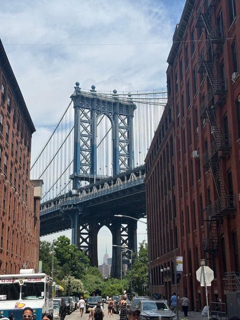 undefined Gallery Image 4