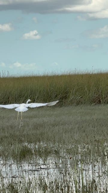 undefined Gallery Image 3