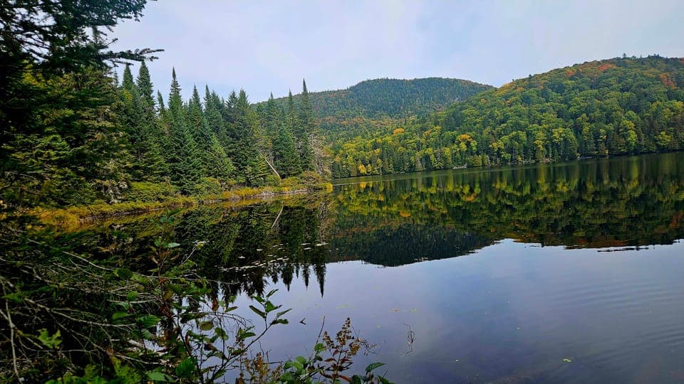 undefined Gallery Image 3