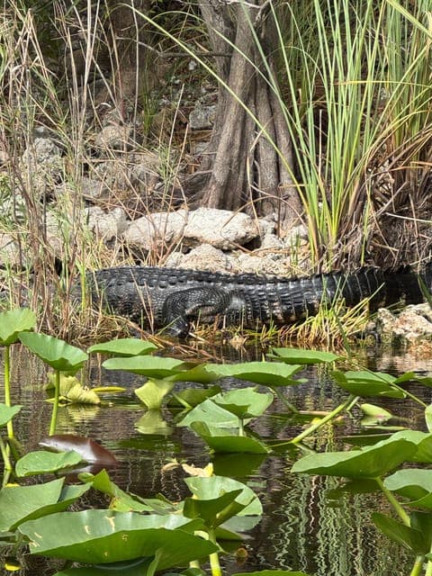 undefined Gallery Image 2