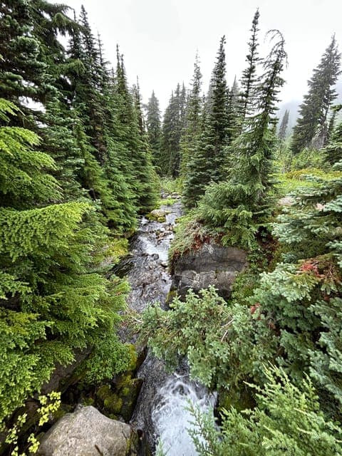 undefined Gallery Image 2