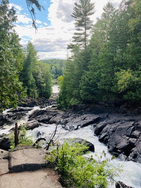 undefined Gallery Image 1