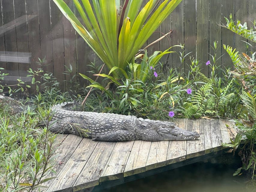 undefined Gallery Image 2