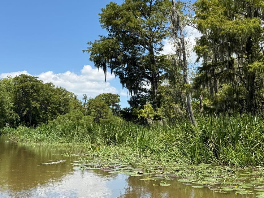 undefined Gallery Image 2