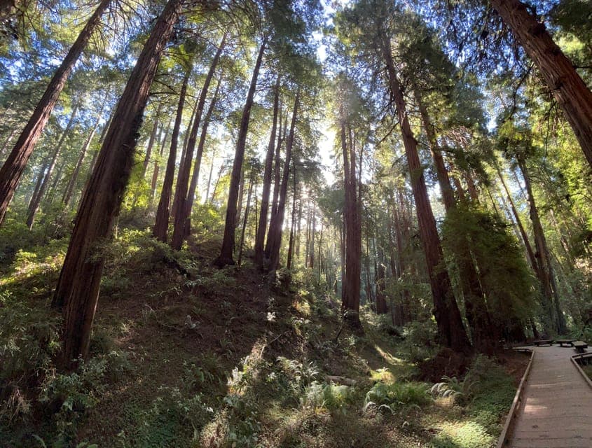 undefined Gallery Image 3