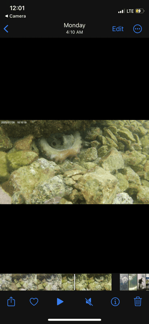 undefined Gallery Image 3