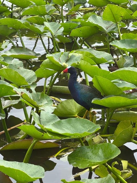 undefined Gallery Image 1