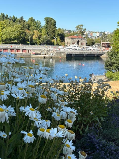 undefined Gallery Image 4