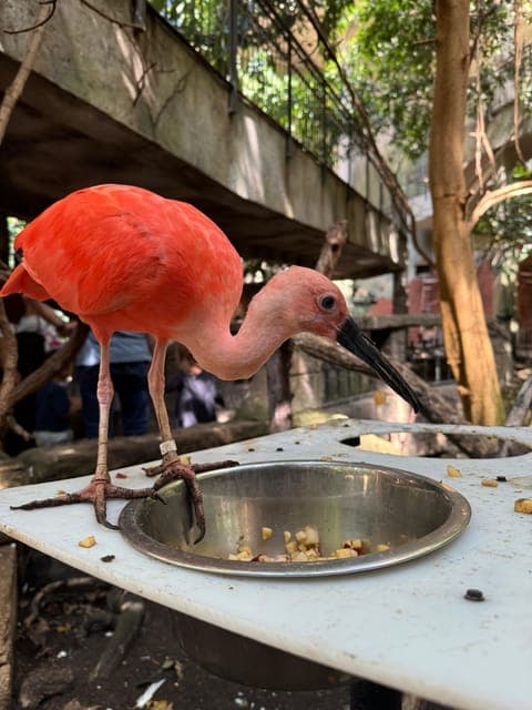 undefined Gallery Image 1