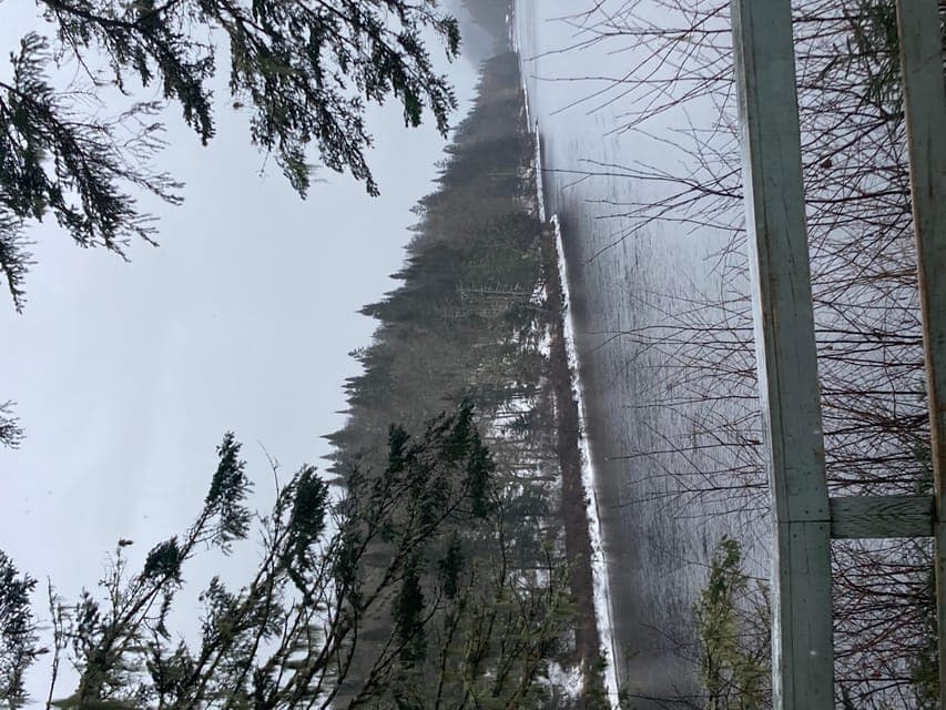 undefined Gallery Image 3