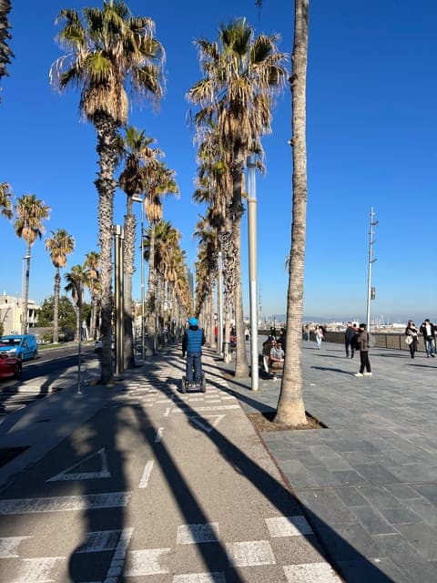 undefined Gallery Image 2