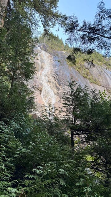 undefined Gallery Image 1