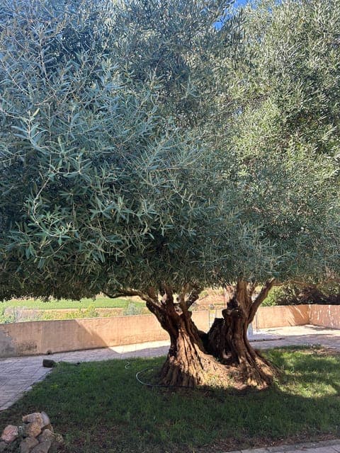 undefined Gallery Image 3