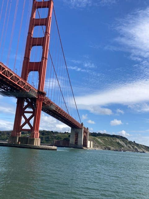 undefined Gallery Image 4