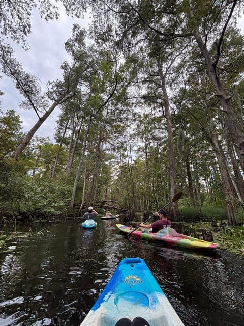 undefined Gallery Image 1