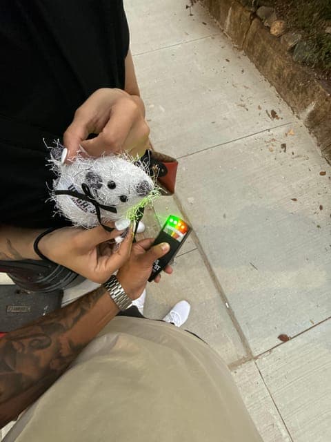 undefined Gallery Image 3