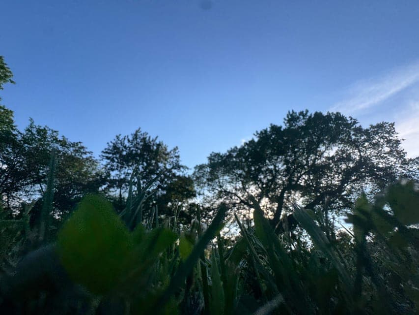 undefined Gallery Image 1