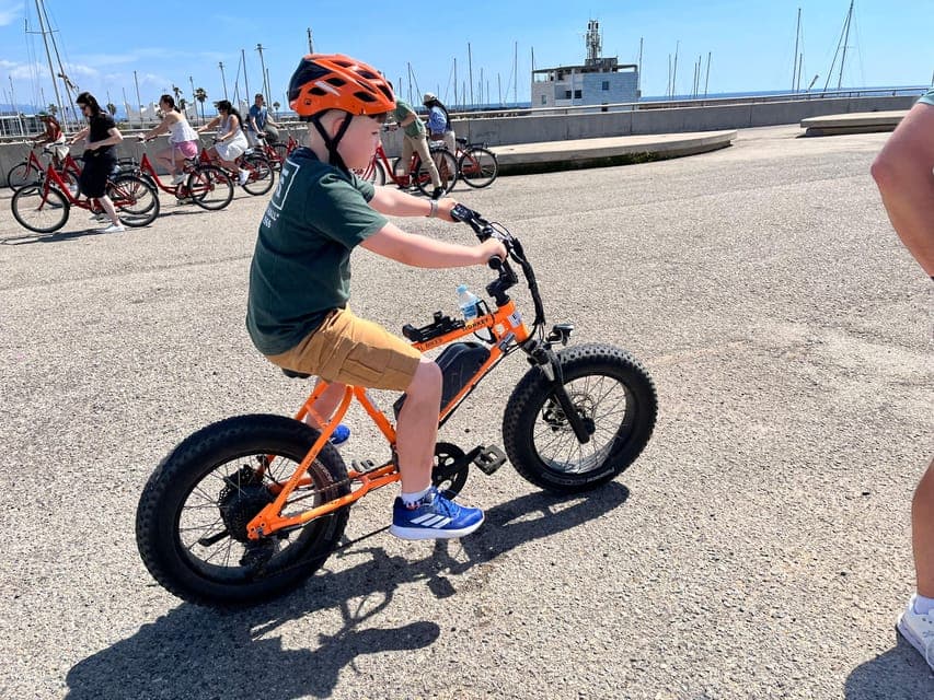 undefined Gallery Image 4