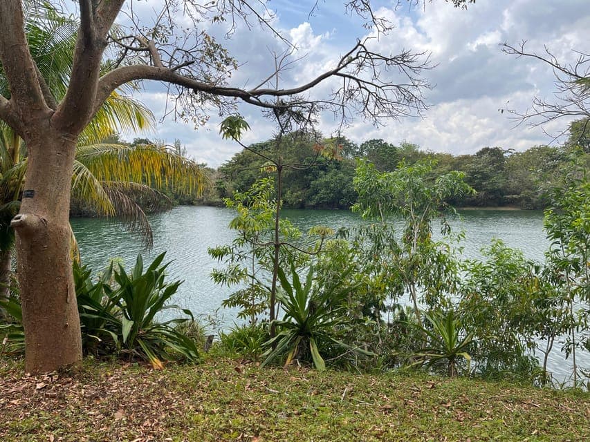 undefined Gallery Image 3