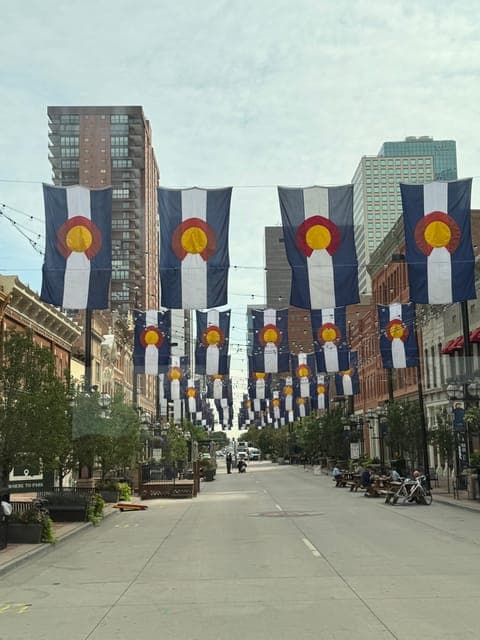 undefined Gallery Image 4