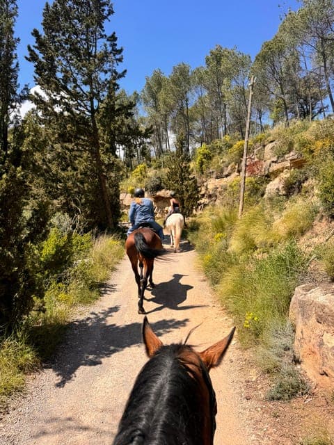 undefined Gallery Image 2