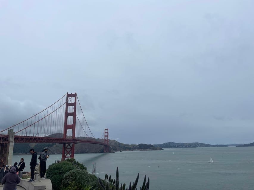 undefined Gallery Image 3