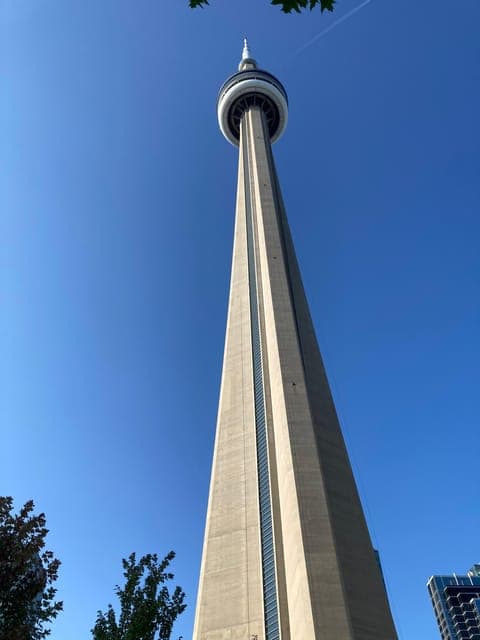 undefined Gallery Image 1