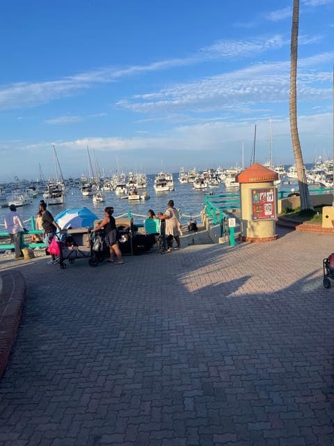 undefined Gallery Image 1