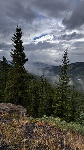 undefined Gallery Image 3