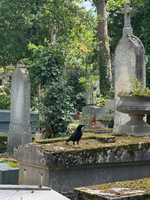 undefined Gallery Image 4