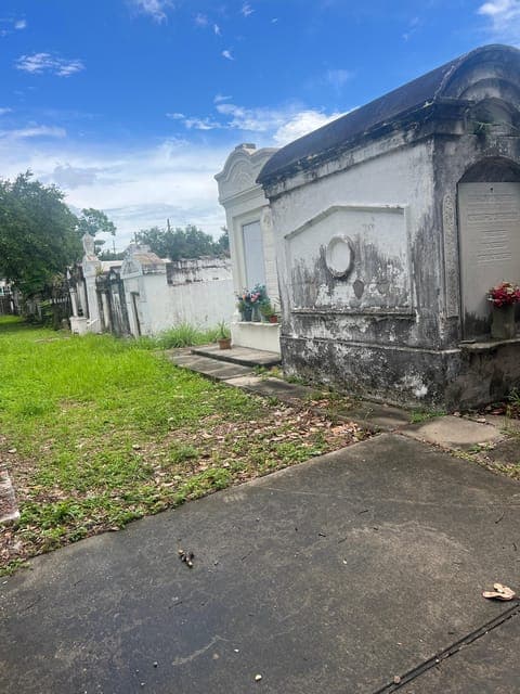 undefined Gallery Image 3