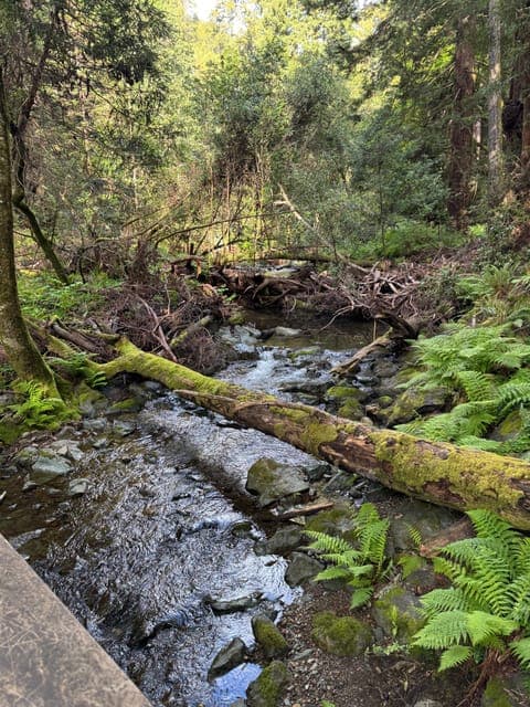 undefined Gallery Image 3