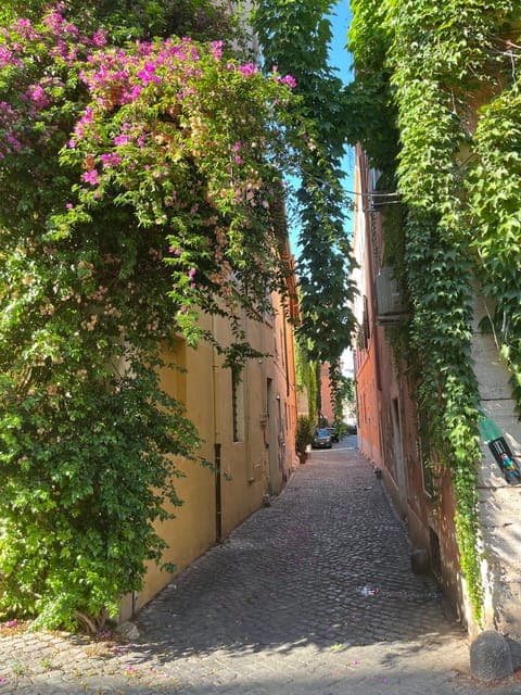 undefined Gallery Image 1