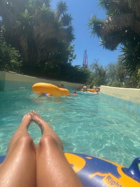 undefined Gallery Image 4