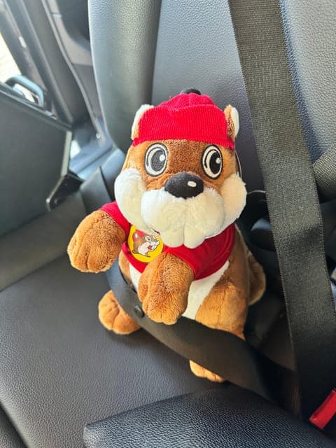 undefined Gallery Image 1