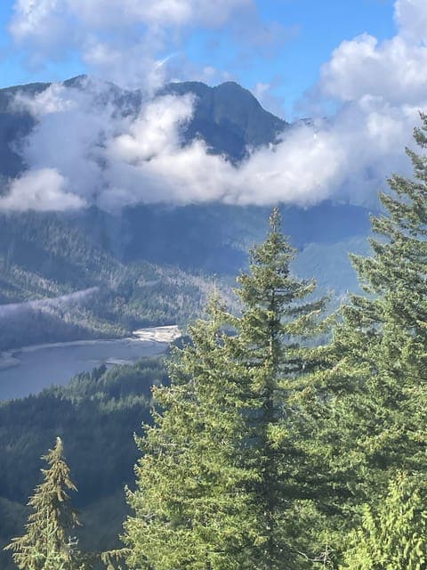 undefined Gallery Image 1