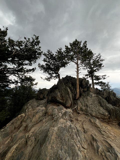 undefined Gallery Image 2