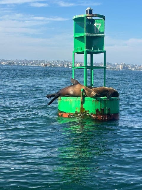 undefined Gallery Image 1