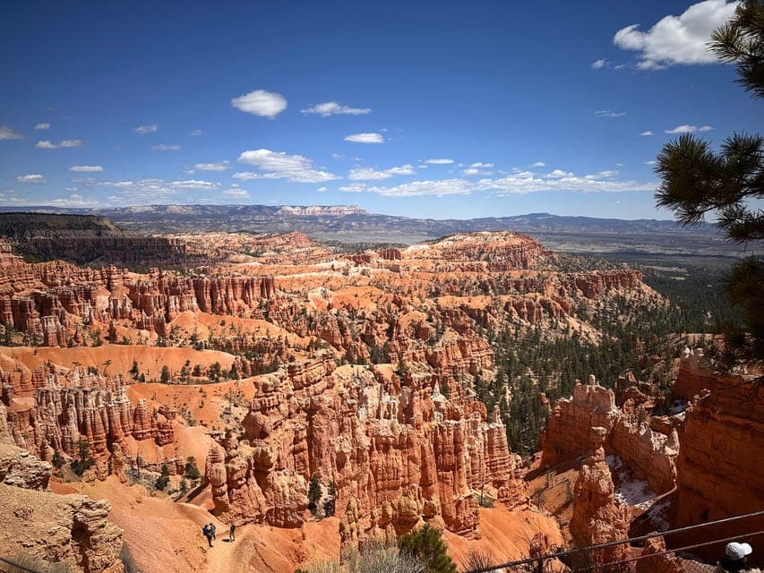 undefined Gallery Image 1