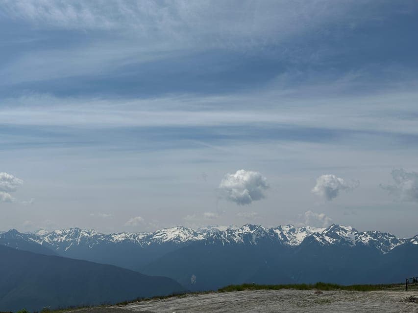 undefined Gallery Image 1