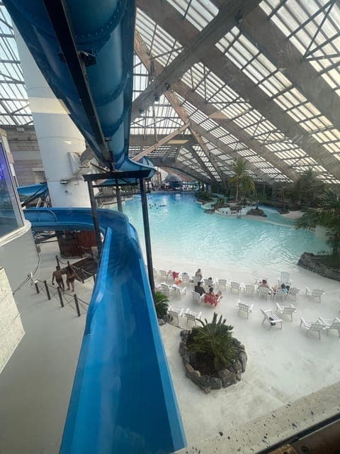 undefined Gallery Image 3