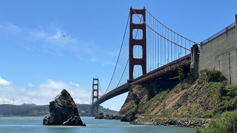 undefined Gallery Image 1