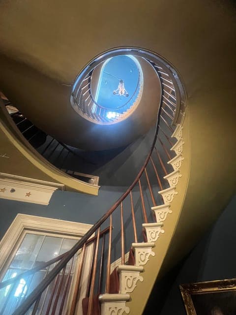 undefined Gallery Image 4