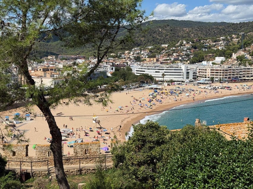 undefined Gallery Image 1